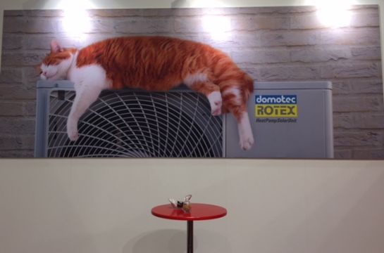 rot weisse Katze liegt auf einer Luft-Wasser-Wärmepumpe