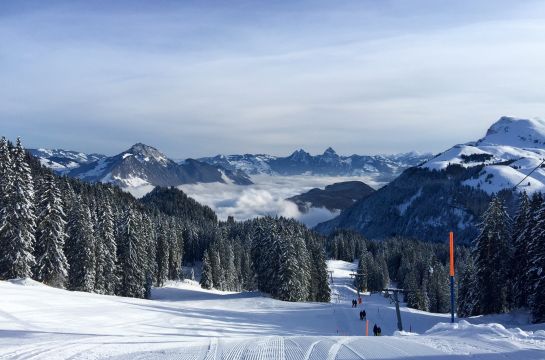 Winterbild Skipiste Wald Berge Schnee
