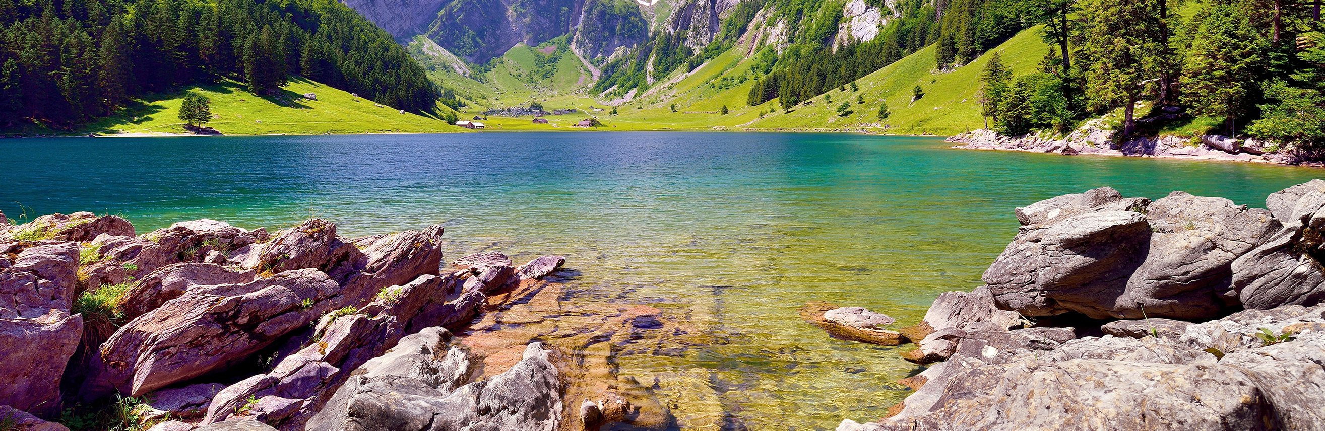 Landschaft Säntis See Wiese Wald