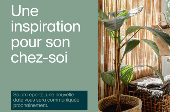 rechts Bambuspflanze im Topf - links grüner Hintergrund mit französischen Text Verschiebung Habitat Jardin 2020