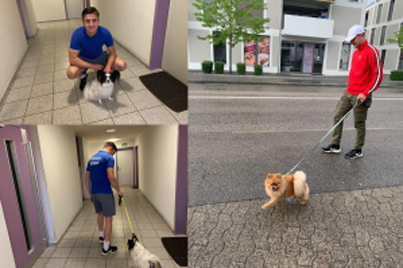 Lernender Domotec geht mit Hunden spazieren