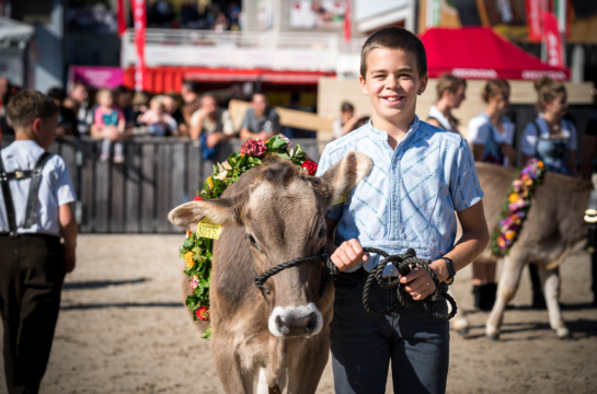 Junge im Edelweiss Hemd steht neben einer Kuh mit Blumenkranz auf dem Rücken