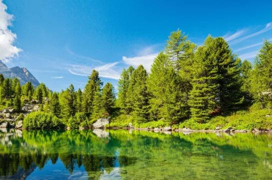 Val di Campo, Poschiavo, Graubênden_bearbeitet Imagebild Domotec AG _ Warmwasser Wärmepumpen _ Wärmepumpen